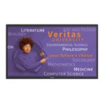 Monitor Digital Signage Philips 32BDL5150I 31.5″ ePaper 2.5K