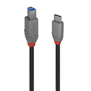 Cavo USB 3.2 Lindy Tipo C a B 5Gbps 2 Metri - SKU: 36667-LND