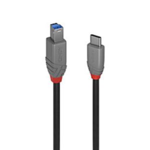 Cavo USB 3.2 Lindy Tipo C a B 5Gbps 3 Metri Nero - SKU: 36668-LND
