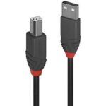 Cavo USB 2.0 Lindy Tipo A a B 0.5 Metri Nero