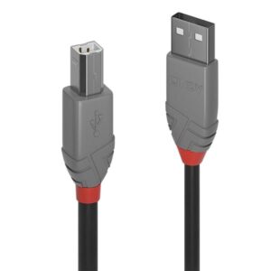Cavo USB 2.0 Lindy Tipo A/Tipo B 1 metro Grigio