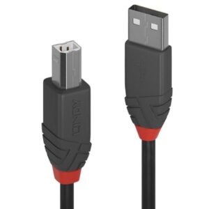 Cavo USB 2.0 Lindy Tipo A/B 10 Metri Grigio
