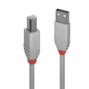 Cavo USB 2.0 Lindy Tipo A a B 2 metri Grigio