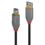 Cavo USB 3.2 Lindy Tipo A a Tipo B 5 Metri Grigio