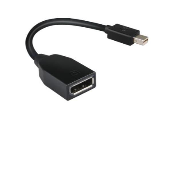 Adattatore Lenovo Mini-DisplayPort a DisplayPort Nero