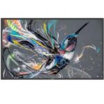 Monitor Digital Signage Philips 50BDL3511Q 50″ 4K UHD VA 400cd/m²