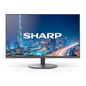 Monitor Sharp Display Solutions E244FL 24" Full HD VA Regolabile