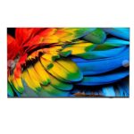 Philips 65HFL6214U/12 – TV e Hotel TV