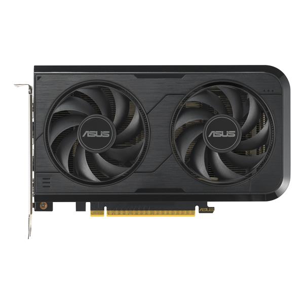 Scheda Grafica Asus Dual RTX 5050 8GB GDDR6 PCIe 5.0