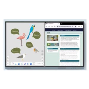 Monitor Smart BenQ RM6504 65" IPS Interattivo