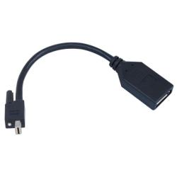 Cavo VGA Matrox CAB-MDP-DPF Mini DisplayPort a DisplayPort 20cm