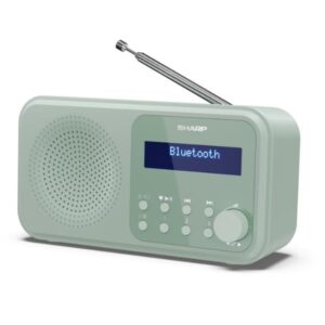 Radio Digitale Portatile Sharp Tokio Verde