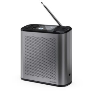 Radio Digitale Portatile Sharp Osaka Grigia