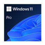 Sistema Operativo Windows 11 Professional OEM Licenza Perpetua