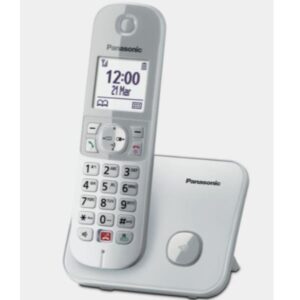 Telefono Cordless Panasonic KX-TG6851JTS Silver 1 Portatile