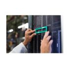 Accessorio Server HPE ProLiant ML30 Gen11 NS204i-u Cable Kit