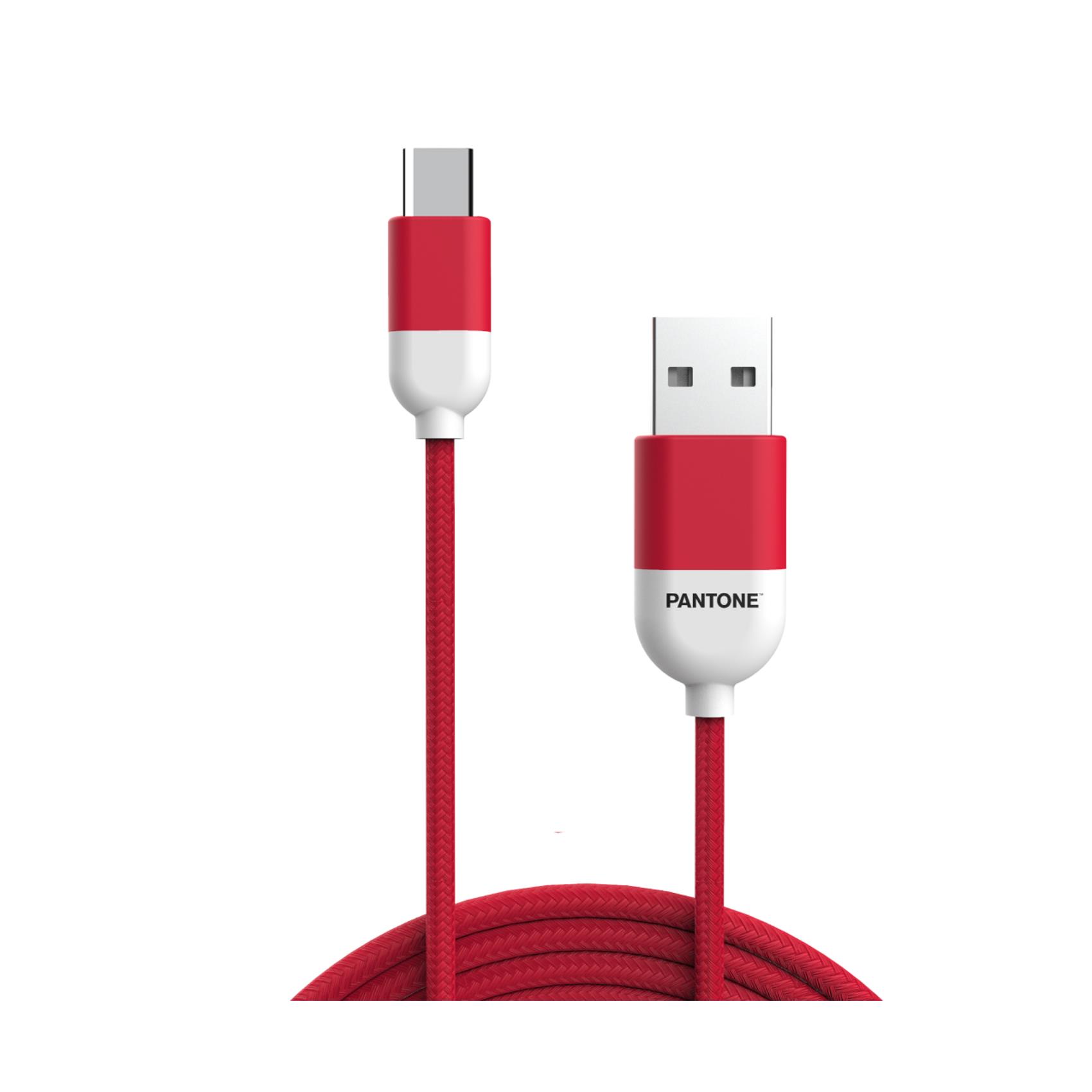 Cavo USB-A USB-C Pantone 10W 1.5m Ricarica Rapida Rosso