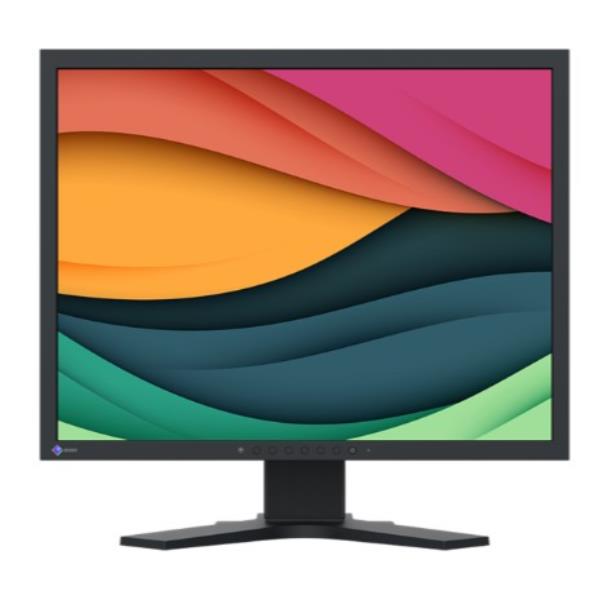 Monitor Eizo FlexScan S2134-BK 21.3" IPS 4:3 Pivot