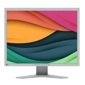 Monitor Eizo FlexScan S2134-GY 21.3" IPS 4:3 Regolazione Altezza Pivot