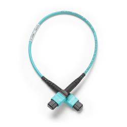 Strumento Test Cavi Fibra Fluke Networks TRC-MPO-UU-B per Bretelle MPO