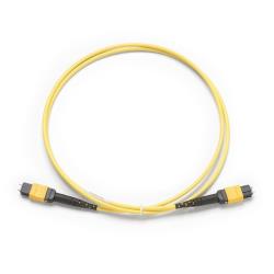 Bretelle di Test Fibra Fluke Networks TRC-SMMPOAPCPPA SM 9/125