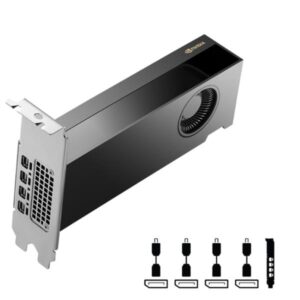 Scheda Grafica PNY RTX 2000 Ada 16GB Low Profile PCIe 4.0