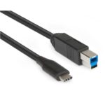 Cavo USB-C a USB-B 3.0 Hamlet XCTC-U3B100 1 Metro