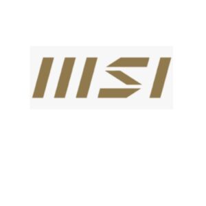 MSI 1YR WARRANTY EXT_AIO_PRO - ESTENSIONE GARANZIE