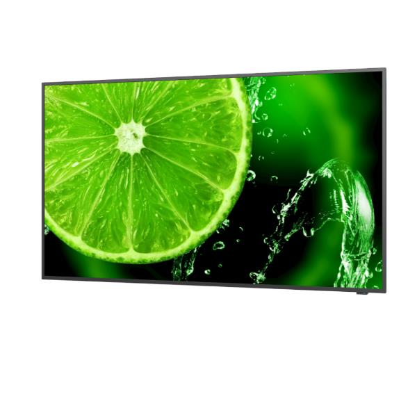 Monitor Digital Signage Sharp Display Solutions E498 48.5" 4K IPS - immagine 6