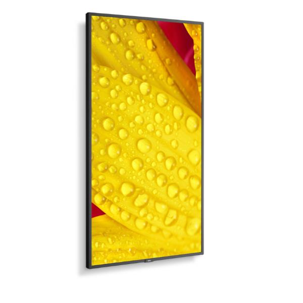 Monitor Digital Signage Sharp Display Solutions ME651 65" 4K UHD IPS 400 cd/m² - immagine 6