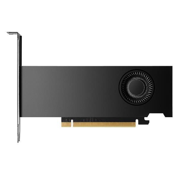 Scheda Grafica HP NVIDIA RTX 2000 Ada 16GB GDDR6 Low Profile - immagine 2