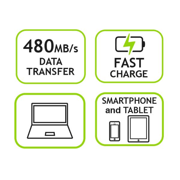 Cavo USB-C Tecnoware 180cm USB-C a USB-C Maschio - immagine 3