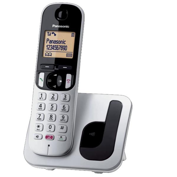 Telefono Cordless Panasonic KX-TGC250JTS Silver 1 Portatile - immagine 2