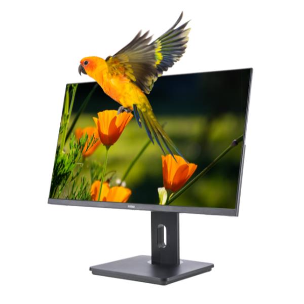 Monitor Business Nilox 23.8" Full HD 75Hz HDMI DP VGA Regolabile - immagine 10
