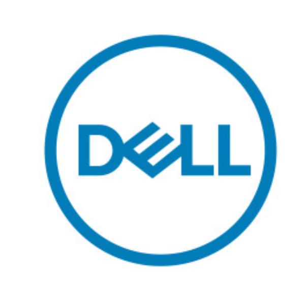 Dell Technologies PR250_3OS5PS - ESTENSIONE GARANZIE - immagine 2