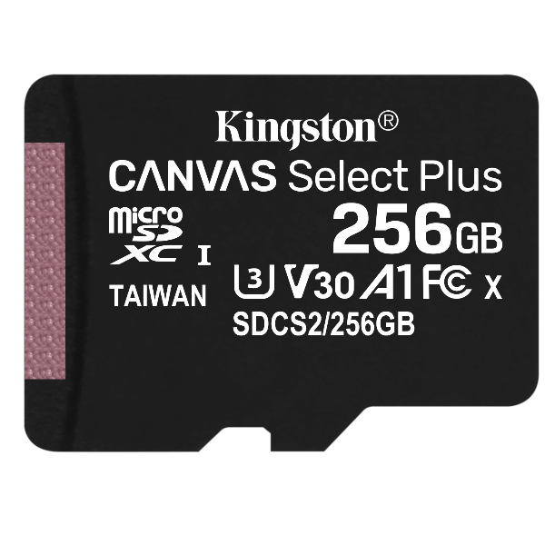 Memory Card Micro SD Kingston SDCS2 256GB Classe 10 100MB/s - immagine 2