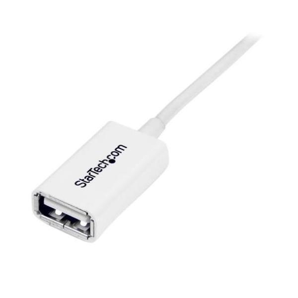 Cavo Prolunga USB 2.0 Startech Tipo A Maschio/Femmina 1 metro - immagine 3