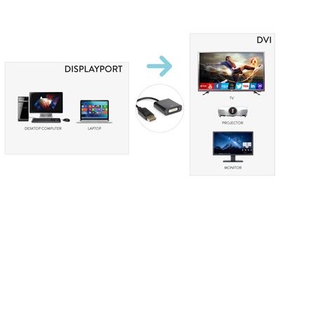Adattatore DisplayPort a DVI Hamlet Nero Maschio/Femmina - immagine 2