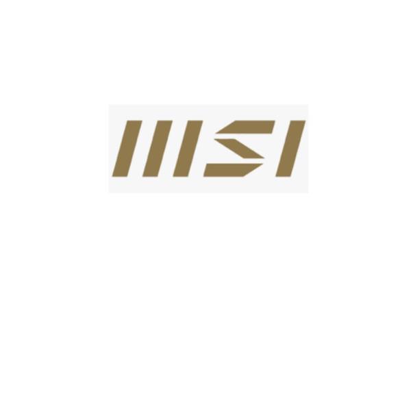 MSI Y06-1151301-MSI - ESTENSIONE GARANZIE - immagine 2