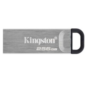 Chiavetta USB Kingston DTKN 256GB USB 3.2 Argento