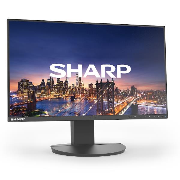 Sharp Display Solutions MULTISYNC DD-EA242F - Monitor Desktop - immagine 2