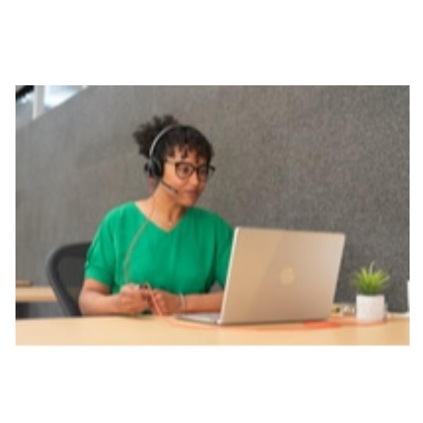 Cuffie Professionali Poly HP Blackwire 3225 USB-C/A + AUX Noise Canceling - immagine 4