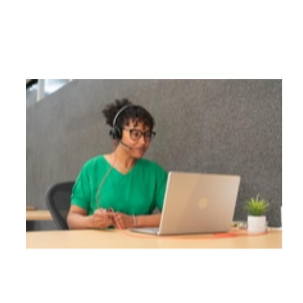 Cuffie Professionali Poly HP Blackwire 5210 USB-C/A + AUX Noise Canceling - immagine 5