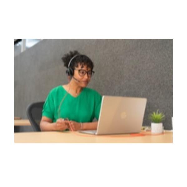 Cuffie Professionali Poly HP Blackwire 3220 USB-C/A con Microfono e Noise Canceling - immagine 3