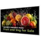 Philips 65 MONITOR UHD 24/7 600 NITS – Monitor Digital Signage