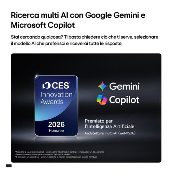 LG 55 OLED EVO AI C6 4K ULTRA HD WEBOS26 - BASE CENTRALE - TV e Hotel TV - SKU: OLED55C65LA.API - Immagine 13