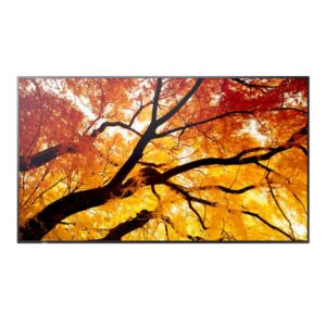 Monitor Digital Signage Sharp MultiSync M322 32 VA 1920x1080 450cdm - SKU: PNM322