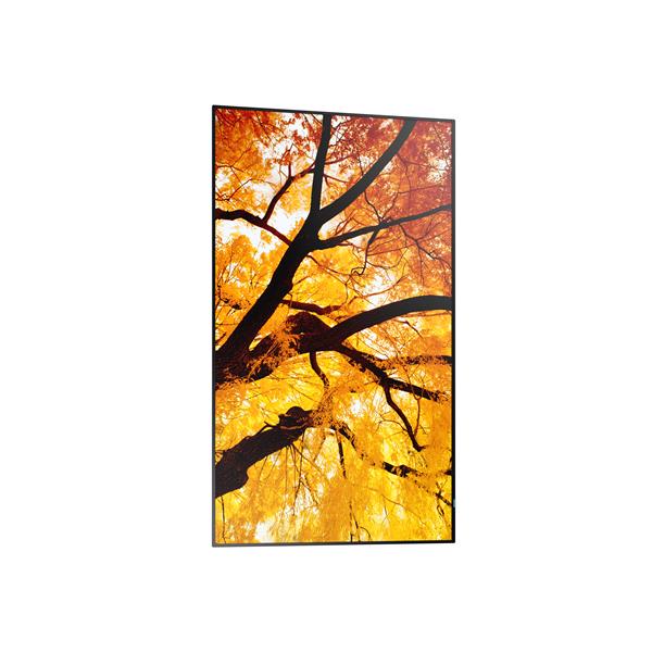 Monitor Digital Signage Sharp MultiSync M322 32 VA 1920x1080 450cdm - SKU: PNM322 - Immagine 2