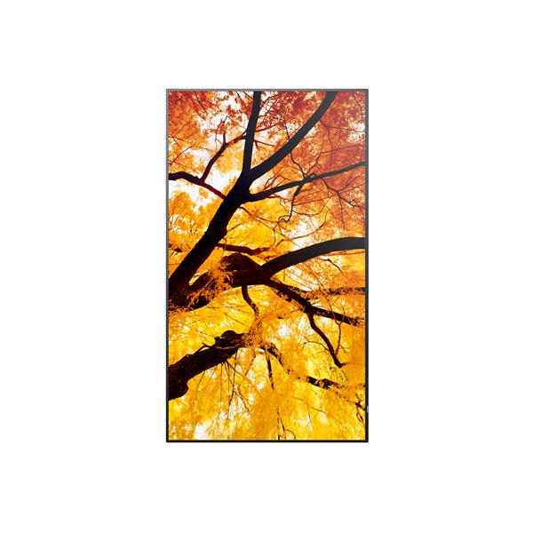 Monitor Digital Signage Sharp MultiSync M322 32 VA 1920x1080 450cdm - SKU: PNM322 - Immagine 8