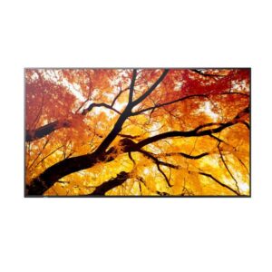 Monitor Digital Signage Sharp MultiSync M432 42.5 4K IPS 550cdm - SKU: PNM432
